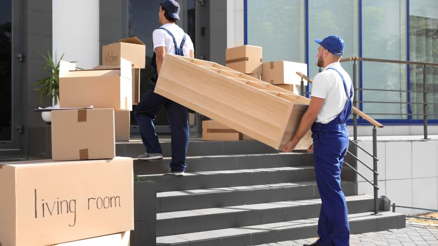 Local moving services by Packhorse Moving
